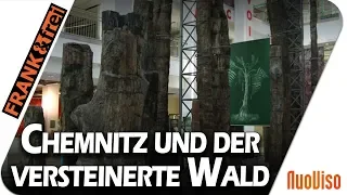 Chemnitz und der Steinerne Wald