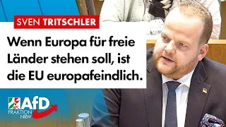 Ist die EU europafeindlich? – Sven Tritschler (AfD)