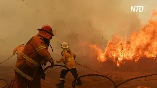 Беременная пожарная борется с огнём в Австралии