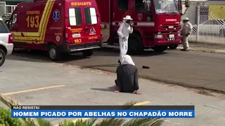 Não resistiu: homem picado por abelhas no Chapadão morre