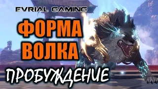 Пробуждение (3я ветка): Мастер Кунгфу (Волк) PTS Корея Blade and Soul