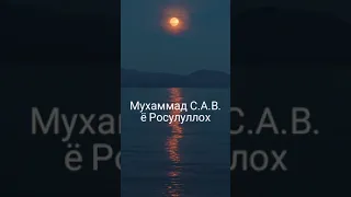 Ё Росулуллох 29 июля 2023 г.