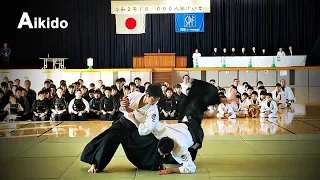 This is Aikido! Model demonstration in 2020 - Shirakawa Ryuji shihan