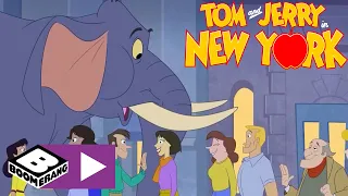 L'elefante scomparso | Tom & Jerry a New York | Boomerang Italia