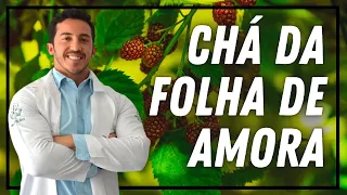 Benefícios do Chá de AMORA | Nutri Rodrigo Moreira