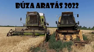 Búza Aratás 2022 | Fortschritt E-514 búza aratás