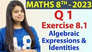 Q 1 - Ex 8.1 - Algebraic Expressions & Identities - Ch 8 - Maths Class 8, New Syllabus CBSE 2023