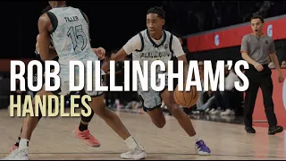 Dissecting Rob Dillingham's Handles! 🔬