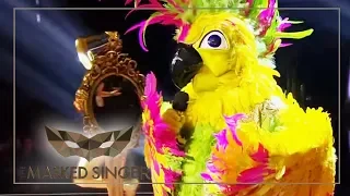 You Are So Beautiful - Joe Cocker | Kakadu Performance | The Masked Singer | ProSieben