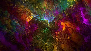 🌈 Neon Rainbow Psychedelic Liquid Abstract Video Loop Background for Edits