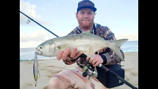 Tailor Smashing My Lures 10 Metres From Shore !!