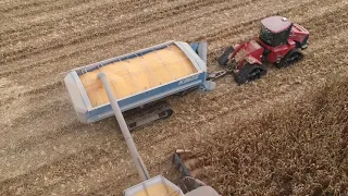 Corn harvest 2019 part 4