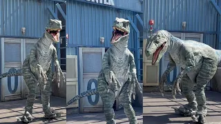 Raptor Encounter Spring Break 2024 | Wild Things in Universal Studios Hollywood