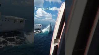 big shark attack and distroy ship , horror dream , video