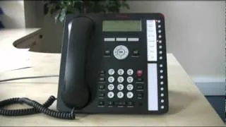 Muting a call - Avaya IP Office 1616 series telephone