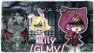 Lily/GLMV/مترجم عربي/