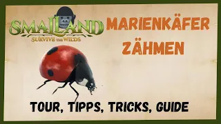 🦗 SMALLAND Surive the Wilds 🦗  Marienkäfer Zähmen 2023 [/Taming/INFO/ GUIDE/Deutsch/ Tiere zähmen ]