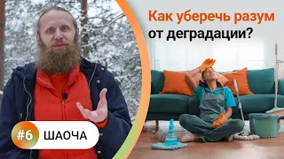 Как жить в балансе? [6] ШАОЧА. 4 вида чистоты для мощной медитации. Как уберечь разум от деградации?