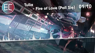 Nightcore - Fire of Love (Pali Się) (Eurovision 2019 Poland 🇵🇱)【Lyrics】「EuroCore」