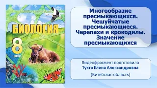 Тип Хордовые. Тема 35. Многообразие пресмыкающихся. Чешуйчатые пресмыкающиеся. Черепахи и крокодилы