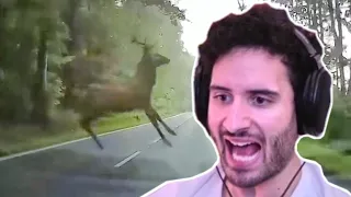 NymN Reacts to NEAR DEATH Caught on Camera