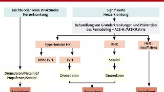 Behandlung des Vorhofflimmerns.