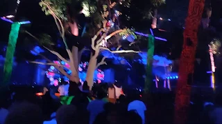 Hilight Tribe #Live@ Hill Top Festival Goa 2019