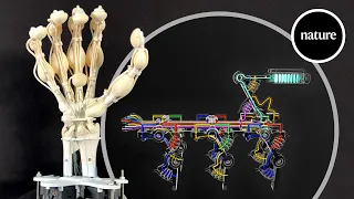 The 3D printer that crafts complex robotic organs in a single run