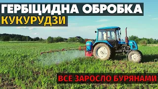 Що я наробив! Кукурудза заросла бур'янами, поганий посів, погані всходи, засуха. Це п#здець!