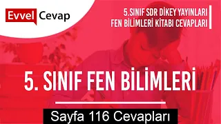 5. Sınıf Fen Bilimleri SDR Dikey Yayıncılık Ders Kitabı Cevapları Sayfa 116