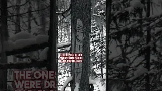 Dyatlov Pass Incident