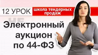 44-ФЗ ДЛЯ НАЧИНАЮЩИХ! Электронный аукцион по ФЗ-44? Что это такое и как участвовать? [Незапилено]