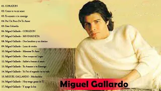 Miguel Gallardo Best Of 2022 - Las mejores canciones de Miguel Gallardo