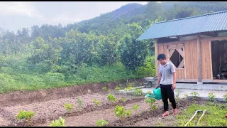 Make vegetable beds and stack flower plants for the path leading to the house_Kiên Đỗ-tq_(P13)