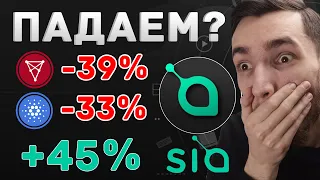 SIACOIN (SC) ВЫРОС на +280% ПОКА CHILIZ И CARDANO ПАДАЮТ! | БИТКОИН И КРИПТОВАЛЮТА | АЛЬТКОИНЫ NFT