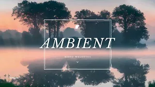 🎵 Ambient  piano🎵 Calm Piano Music 🎵