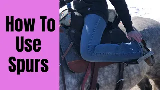 HOW TO USE SPURS WHEN RIDING HORSES!