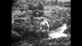 19th Century Working Life in Ireland, 1969