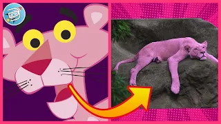 PINK PANTHER ALL CHARACTERS IN REAL LIFE 🐈 2021 - CARTOON IN REAL LIFE - DUBU Pro