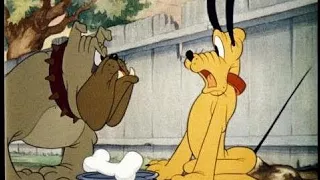 Walt Disney Cartoon Favorites (Pluto Over 1 Hour Full Episodes)