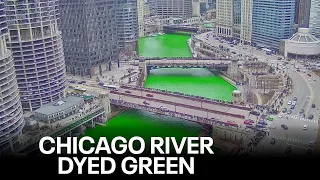 Chicago River dyed green for St. Patrick's Day