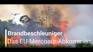 Brandbeschleuniger - das EU-Mercosur-Abkommen