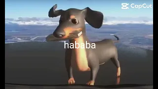 hababa