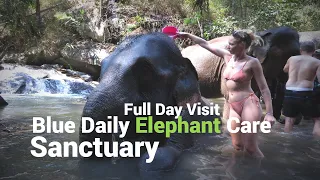 Full Day Blue Daily Elephant Care Sanctuary, Waterfall Hiking and Doi Inthanon View