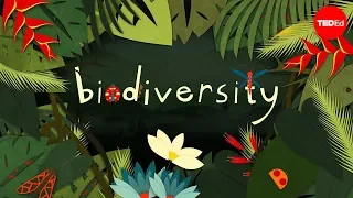 Pourquoi la biodiversité est-elle si importante ? | Kim Preshoff