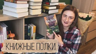 НОВЫЙ ШКАФ! Наполняем книжные полки!