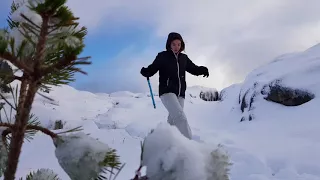 Preikestolen in winter