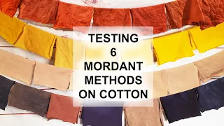 Testing 6 Mordant Methods on Cotton