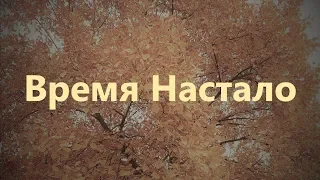 26.  Як олень прагне до потоків