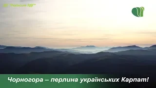 Чорногора – перлина українських Карпат!